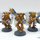 Warhammer 40k: Space Marines Blood Angels Old Sanguinary Guard (BA004)