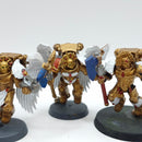 Warhammer 40k: Space Marines Blood Angels Old Sanguinary Guard (BA004)