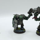 Warhammer 40k: Orks Nobz - Painted (AI250)