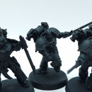 Warhammer 40k: Emperor's Children Infractors (BO053)