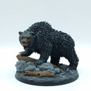 Warhammer Lord of the Rings: Beornings Grimbeorn (BSC41)