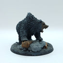 Warhammer Lord of the Rings: Beornings Grimbeorn (BSC41)