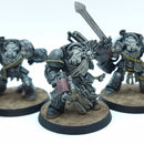 Warhammer 40k: Space Marine Terminators (BTC42)