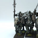 Warhammer The Old World: Warriors of Chaos Chaos Knights Old - Painted (BSE12)