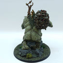 Warhammer The Old World: Orcs & Goblins Troll Hag - Well Painted (ADZ03)