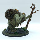 Warhammer The Old World: Orcs & Goblins Troll Hag - Well Painted (ADZ03)