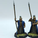 Warhammer Lord of the Rings: Lothlorien Guards of the Galadhrim Court - Painted (BSC04)