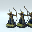 Warhammer Lord of the Rings: Lothlorien Galadhrim Warriors - Painted (BSC47)