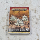 Warhammer Age of Sigmar Maggotkin of Nurgle Nurglings BD371