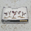 Warhammer Age of Sigmar Daughters of Khaine Khinerai - in Box AV341