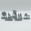 Warhammer The Old World: Orcs & Goblins Black Orc Bigboss (BJ238)