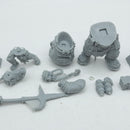 Warhammer 40k Necromunda: Madryc Helbane and Lugrun (BJ236)