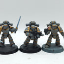 Warhammer Horus Heresy: Space Marine Space Wolves Veterans (AA236)