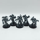 Warhammer 40k: Emperor's Children Infractors (AJ047)