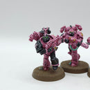 Warhammer 40k: Emperor's Children Tormentors - Pro Painted (AI003)