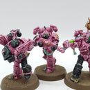Warhammer 40k: Emperor's Children Tormentors - Pro Painted (AI003)