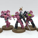 Warhammer 40k: Emperor's Children Tormentors - Pro Painted (AI003)