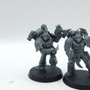 Warhammer 40k: Emperor's Children Infractors (AA099)