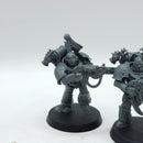 Warhammer 40k: Emperor's Children Infractors (AD230)