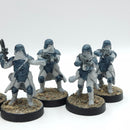 Star Wars Legion: Empire Snow Troopers (AP037)