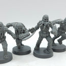 Star Wars Legion: Rebel Alliance Wookies Warriors (AC095)