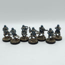 Star Wars Legion: Empire Snow Troopers (AP045)