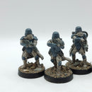Star Wars Legion: Empire Snow Troopers (AP045)