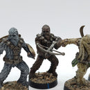 Star Wars Legion: Grand Army of the Republic Wookie Warriors - Well Painted (AN046)