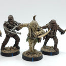 Star Wars Legion: Grand Army of the Republic Wookie Warriors - Well Painted (AN046)