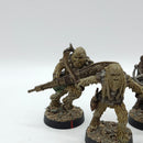 Star Wars Legion: Grand Army of the Republic Wookie Warriors - Well Painted (AN047)