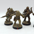 Star Wars Legion: Grand Army of the Republic Wookie Warriors - Well Painted (AN047)