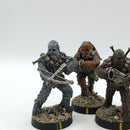 Star Wars Legion: Grand Army of the Republic Wookie Warriors - Well Painted (AN048)