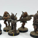 Star Wars Legion: Grand Army of the Republic Wookie Warriors - Well Painted (AN048)