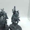 Warhammer Age of Sigmar: Slaves to Darkness Chaos Knights (BF067)