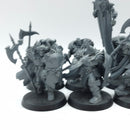 Warhammer Age of Sigmar: Slaves to Darkness Chaos Warriors and Lord (AH188)