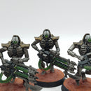 Warhammer 40k: Necron Immortals - Painted (AE125)