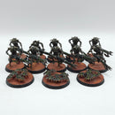 Warhammer 40k: Necron Warriors - Painted (AE024)