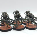 Warhammer 40k: Necron Warriors - Painted (AE024)
