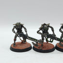 Warhammer 40k: Necron Warriors - Painted (AE024)