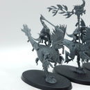 Warhammer Age of Sigmar: Seraphon Raptadon Chargers (AJ216)