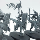 Warhammer Age of Sigmar: Seraphon Raptadon Chargers (AJ216)
