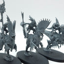 Warhammer Age of Sigmar: Seraphon Raptadon Chargers (AJ216)