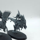 Warhammer Age of Sigmar: Seraphon Raptadon Chargers (AJ216)