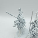 Warhammer Age of Sigmar: Lumineth Realm Lords Vanari Dawnriders - Damaged (AT193)