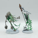Warhammer Age of Sigmar: Nighthaunt Spirit Torment and Guardian of Souls (BI074)