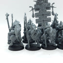 Warhammer Age of Sigmar: Seraphon Saurus Temple Guard OOP (BH190)