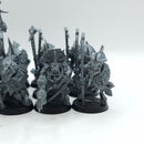 Warhammer Age of Sigmar: Seraphon Saurus Temple Guard OOP (BH190)