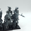 Warhammer The Old World: Vampire Counts Black Knights (AJ166)