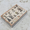 Warhammer Warcry Orruk Warclans Kruleboyz Monsta-Killaz AY240