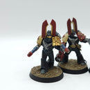 Warhammer Horus Heresy: Space Marines Dark Angels Characters - Well Painted (BJ166)